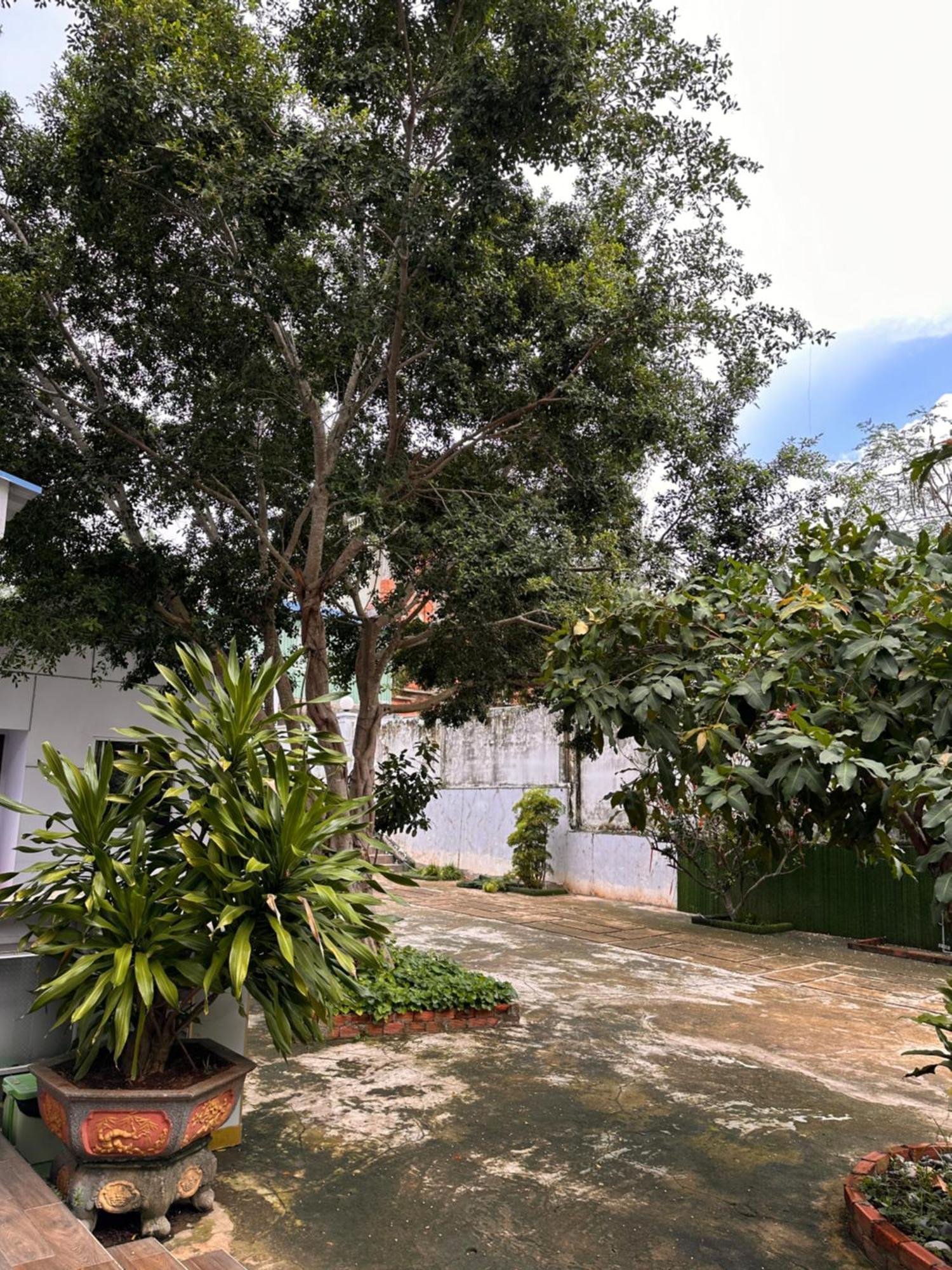Bungalow Hotel Chi Khu Co Ong Экстерьер фото