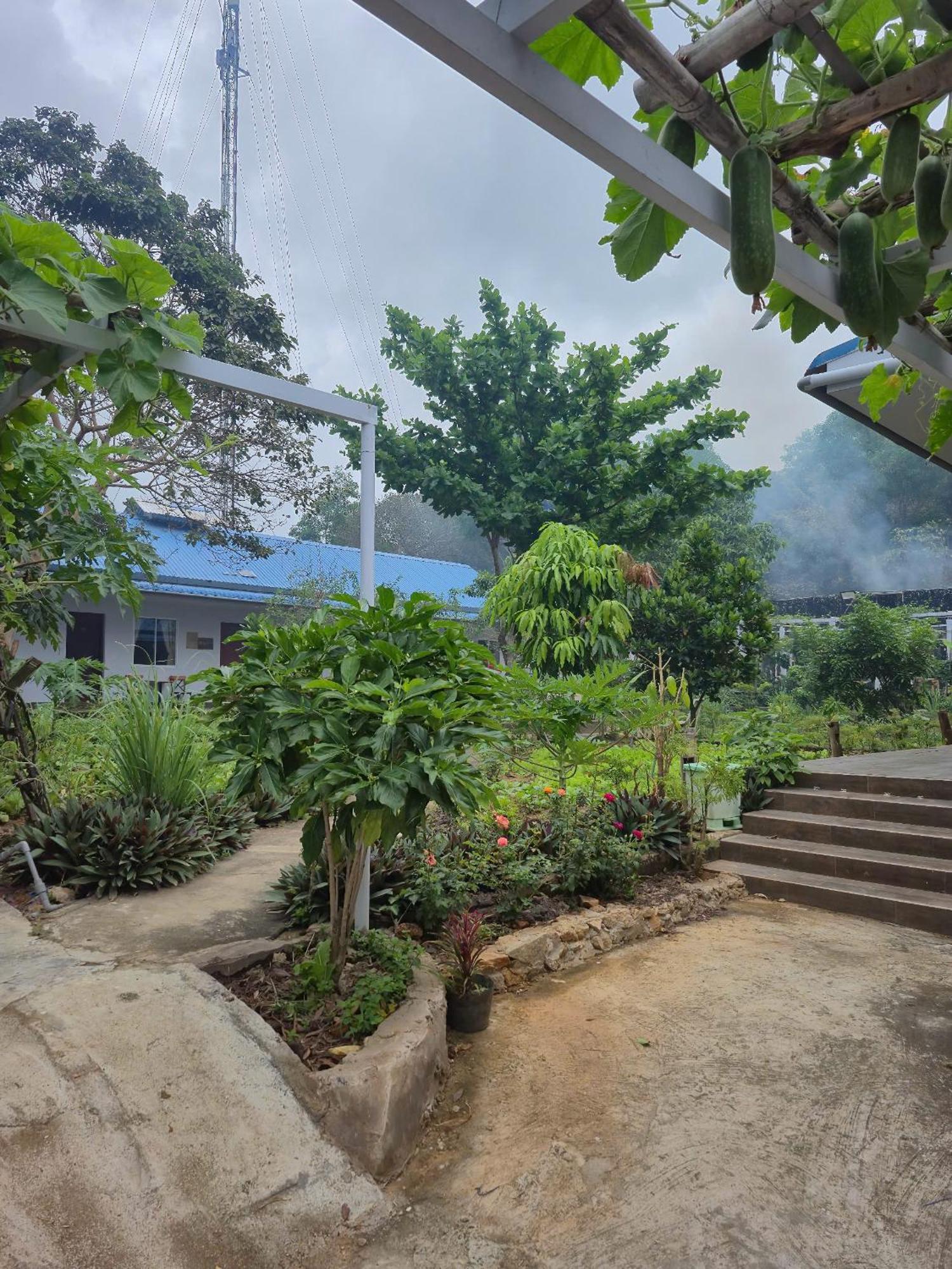 Bungalow Hotel Chi Khu Co Ong Экстерьер фото